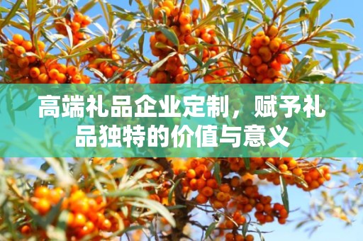 高端礼品企业定制，赋予礼品独特的价值与意义